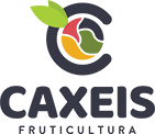 Logo Caxeis Fruticultura